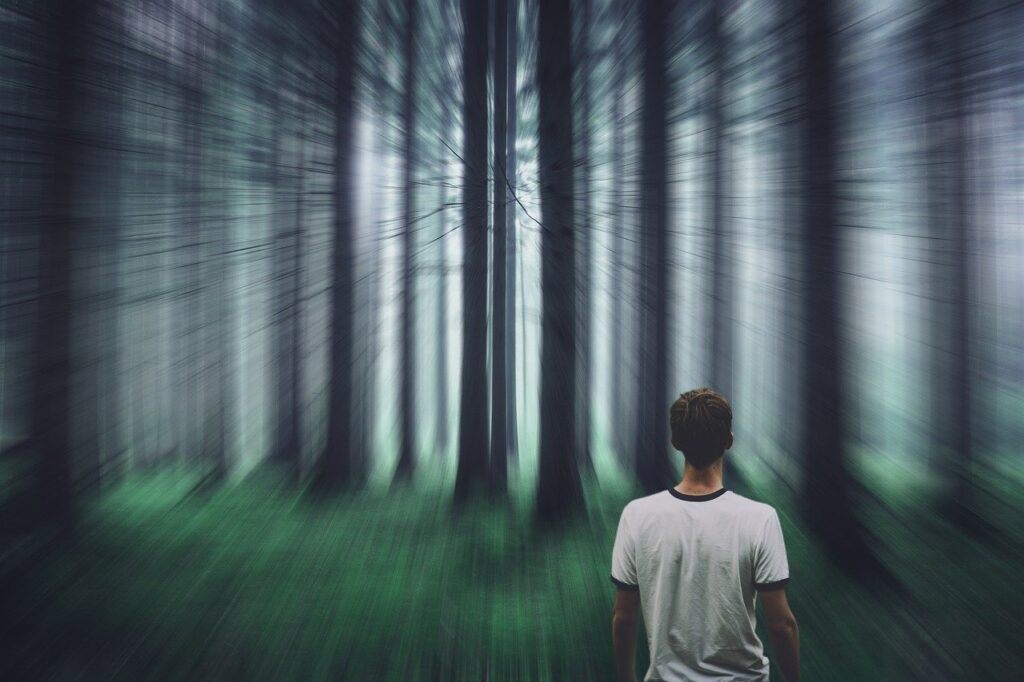 forest, person, surreal-7772371.jpg