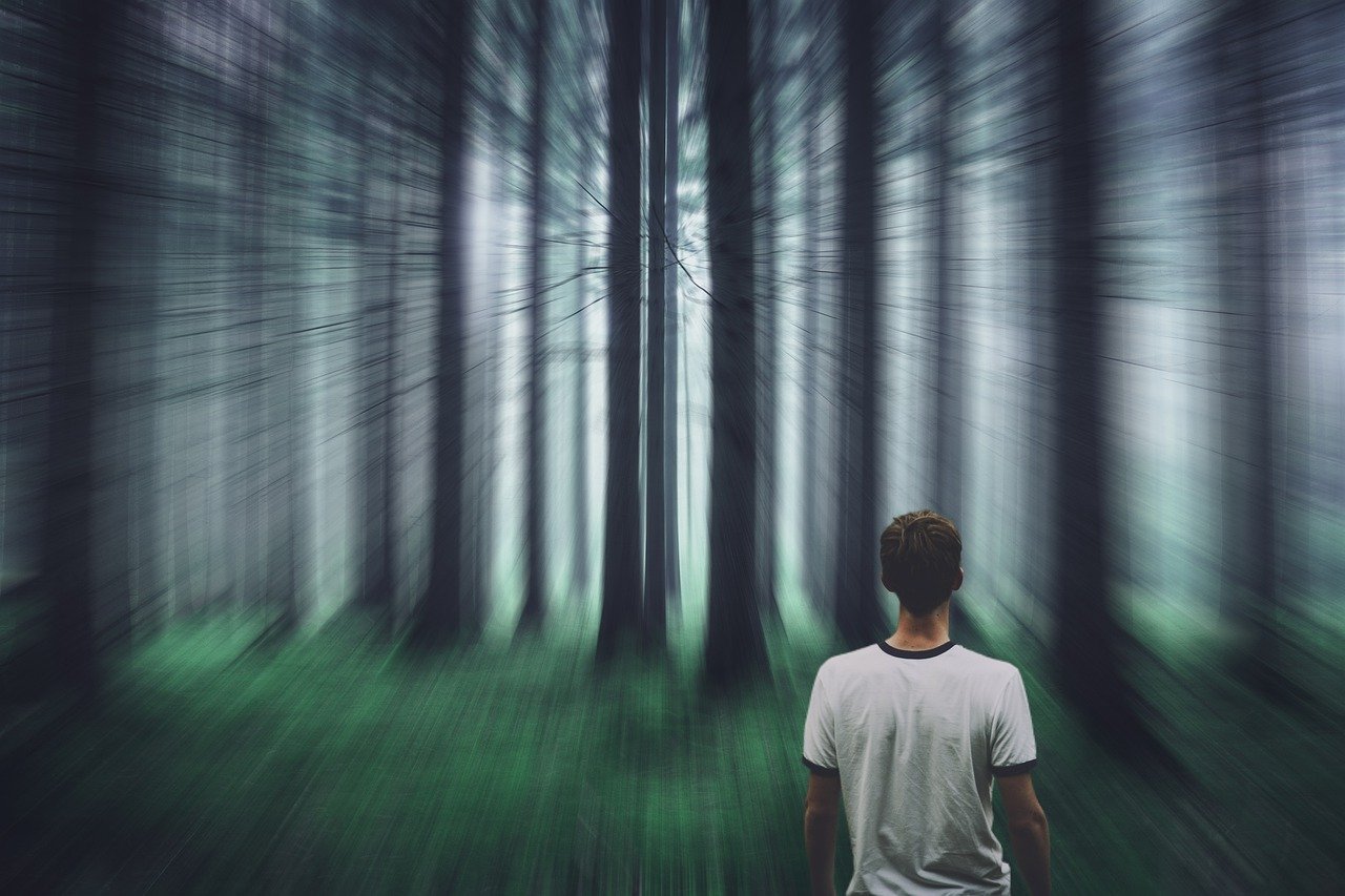 forest, person, surreal-7772371.jpg